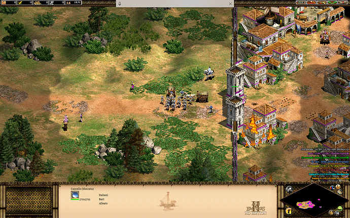 age of empires 2 bug.PNG