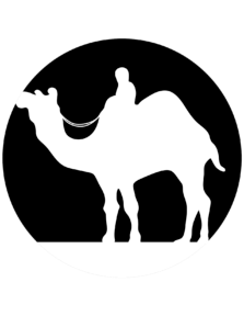 A pumpkin carving pattern depicting a camel and rider.